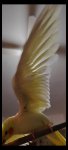 Screenshot_2024-01-02-00-18-08-071_com.miui.videoplayer.jpg