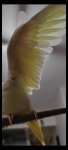 Screenshot_2024-01-02-00-15-14-431_com.miui.videoplayer.jpg