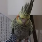 IMG_0449.jpeg