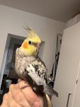 IMG_2444.jpeg