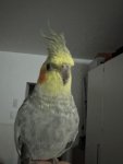 IMG_2453.jpeg