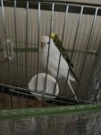 IMG_1262.jpeg