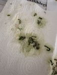 IMG_1712.jpeg