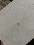IMG_1301.jpeg