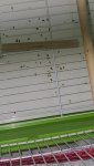 20240105_180332.jpg