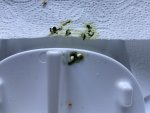 IMG_1202.jpeg