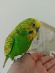 IMG20240109191141.jpg