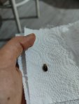 IMG_20240110_185225.jpg