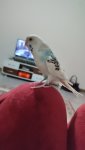 IMG_20240101_193818.jpg