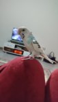 IMG_20240101_193816.jpg