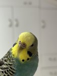 IMG_5675.jpeg