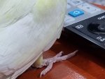 20240112_014939.jpg