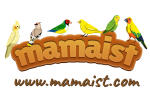 mamaist.com logo.png