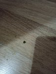 IMG_20240114_214655.jpg