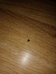 IMG_20240114_214646.jpg