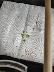 IMG_20240115_110615.jpg