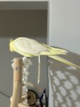 IMG_0564.jpeg