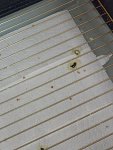 IMG_20240117_094035.jpg