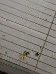 IMG_20240117_094032.jpg