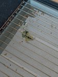 IMG_20240117_094030.jpg
