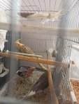 IMG_20240117_132545.jpg