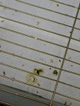 IMG_20240117_194832.jpg