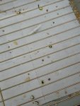 IMG_20240118_195219.jpg