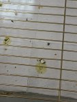 IMG_20240118_195214.jpg
