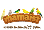 mamaist.com png.png