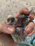 IMG_0571.jpeg