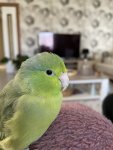 IMG_4230.jpeg