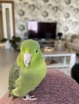 IMG_4228.jpeg