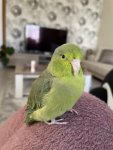IMG_4227.jpeg