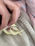 IMG_1093.jpeg