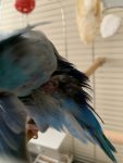 IMG_3912.jpeg