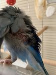 IMG_3914.jpeg