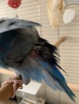 IMG_3913.jpeg