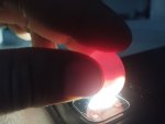 IMG_20250317_071635.jpg