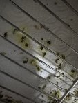 IMG_1082.jpeg