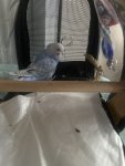 IMG_9444.jpeg