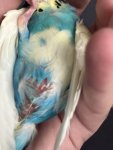IMG_2301.jpeg