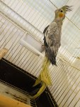 IMG_5744.jpeg