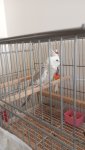 IMG-20250413-WA0001.jpeg