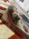IMG_0159.jpeg