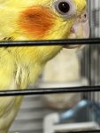 IMG_5061.jpg