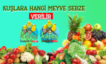 kuşlara hangi meyve sebze verilir.png kuşlara hangi meyve sebze verilir.png