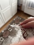 IMG_0329.jpeg