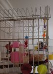 IMG-20250429-WA0015.jpg