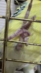 IMG_3539.jpeg