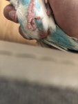 IMG_1542.jpeg IMG_1542.jpeg